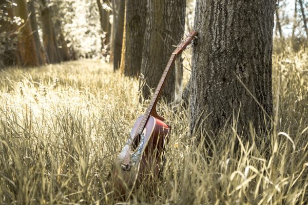 músicos que murieron jóvenes
